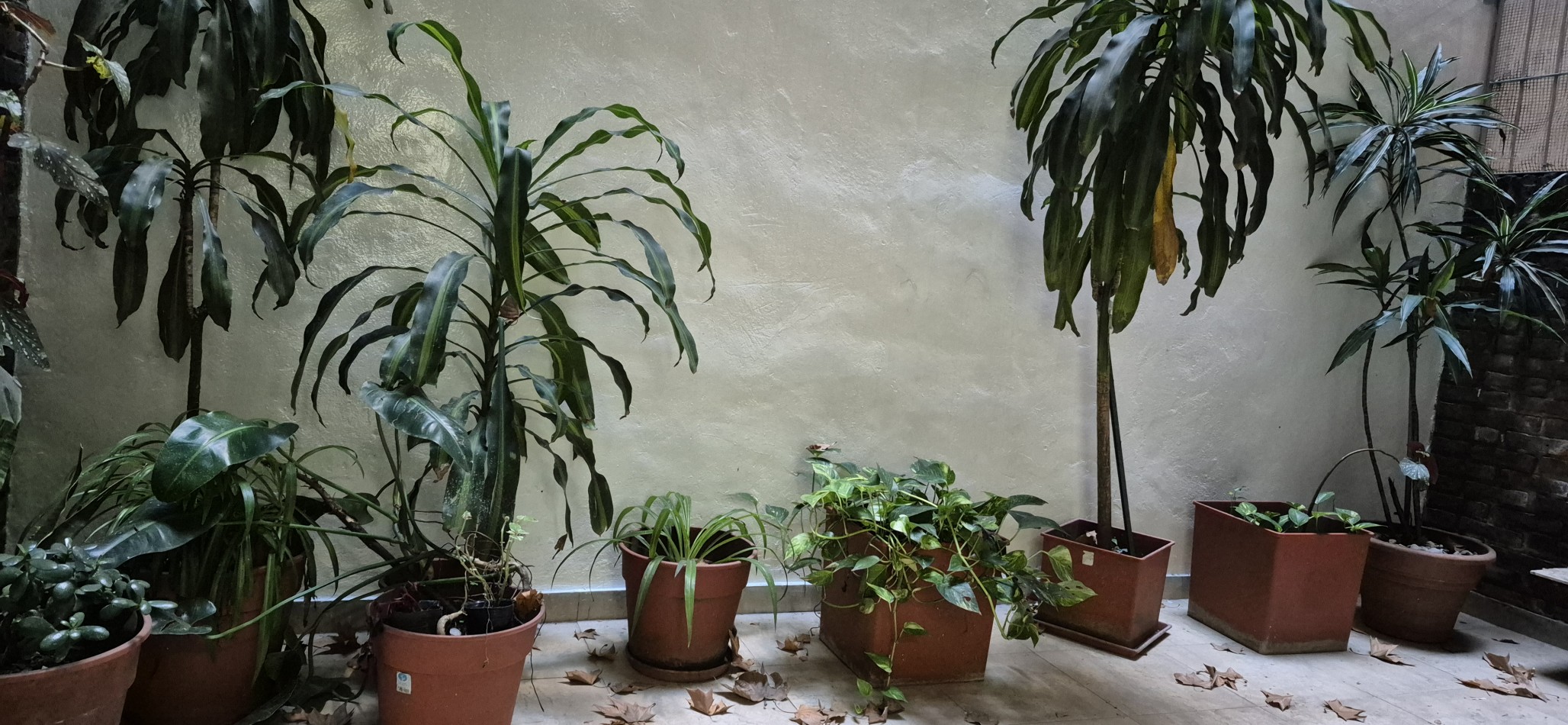 DEPARTAMENTO EN  VENTA DE 4 AMBIENTES  EN LA MEJOR ZONA DE PALERMO CON BALCON , COCHERA , PATIO Y BAULERA