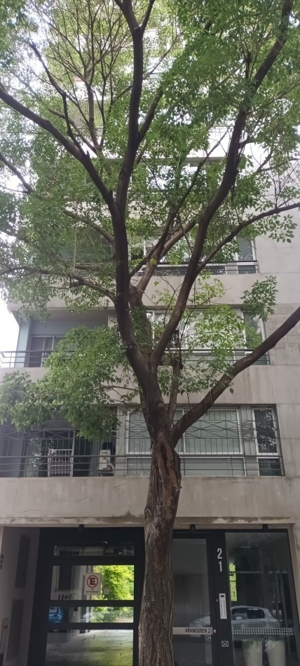 OFICINA LUMINOSA EN VENTA EN CABALLITO,  PARQUE CENTENARIO . EDIFICIO MODERNO 